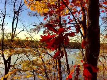 ☀ Herbst am See ☀